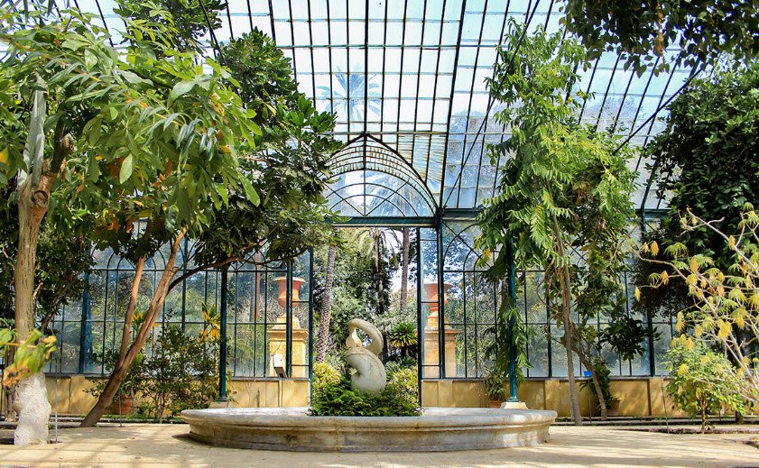 Orto Botanico di Palermo, Italy